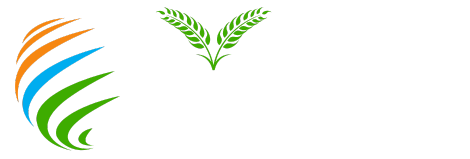 Global Foundation Society